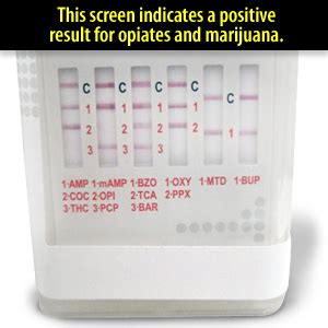 does drop off drug test|negative drug test results.